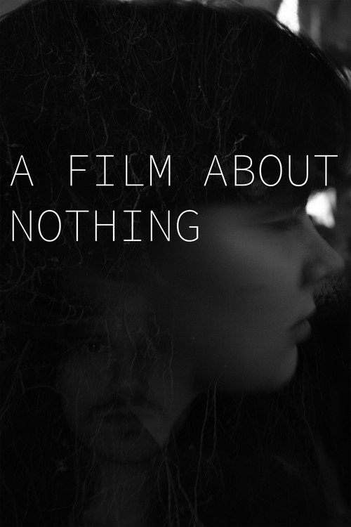 A film about nothing电影海报