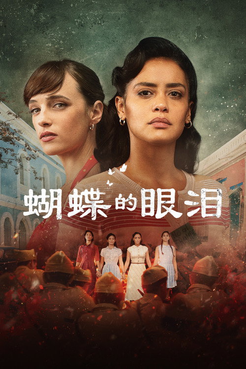 蝴蝶的眼泪电影海报
