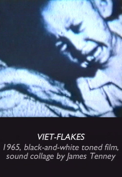 Viet Flakes poster 2
