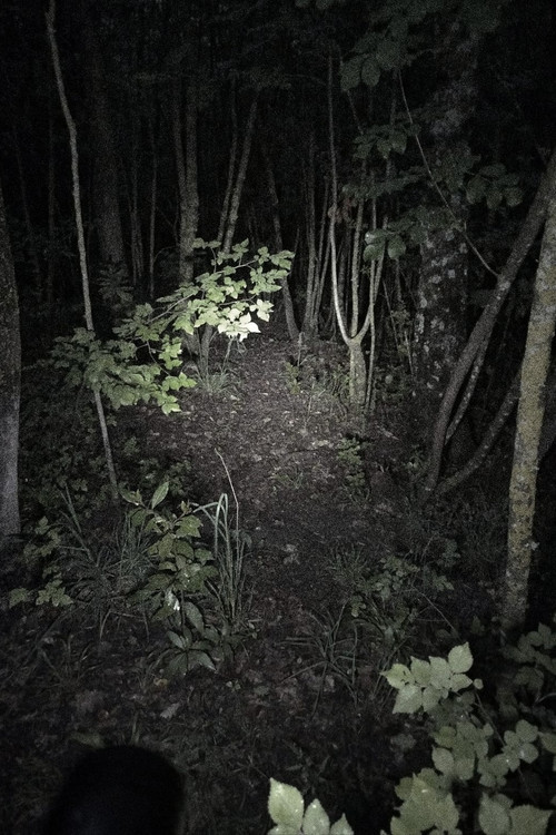Untitled Found Footage Project