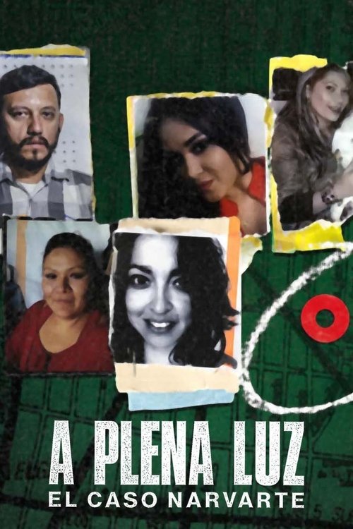 Poster of A plena luz: El caso Narvarte