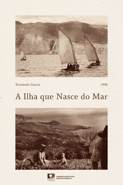 A Ilha que Nasce do Mar