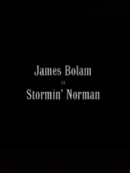 Stormin' Norman Poster