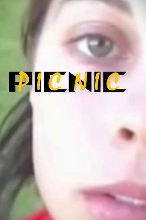 Picnic poster 2