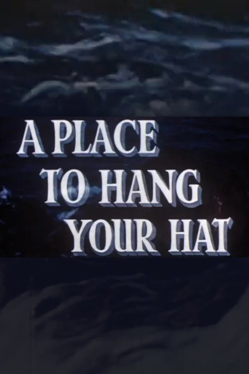 A Place to Hang Your Hat poster