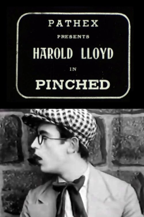 Pinched Poster