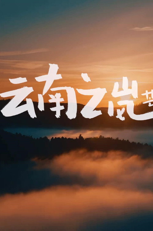 云南之岚电影海报