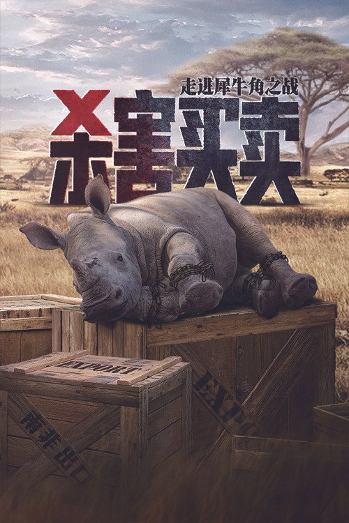 杀害买卖：带你走进犀牛角之战电影海报