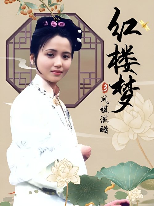 红楼梦第三部：凤姐泼醋 Poster