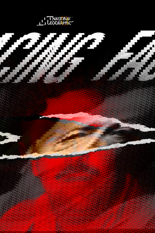 Poster of Facing
