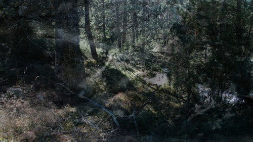 Backdrop
