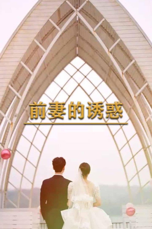 前妻的诱惑电影海报