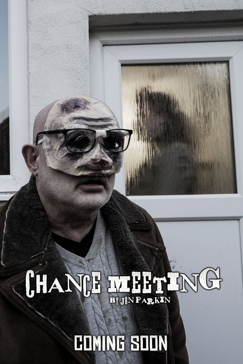 Chance Meeting电影海报