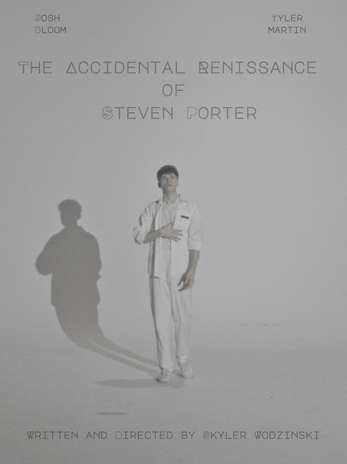The Accidental Renaissance of Steven Porter Poster