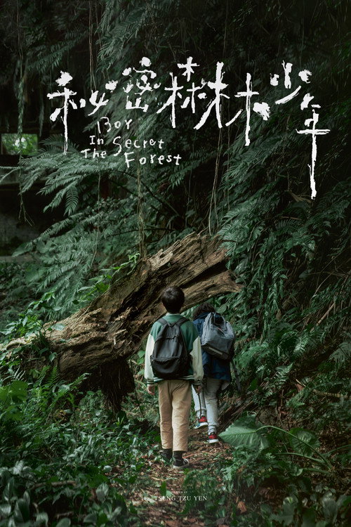 Boy in the Secret Forest poster 3