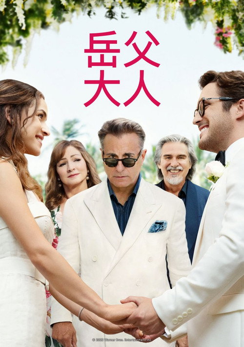 岳父大人电影海报