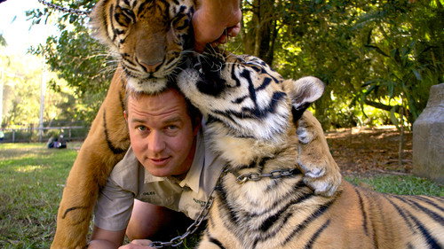 Tigers About the House第2季第1集