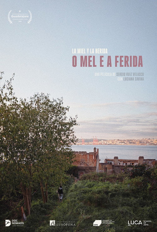 O mel e a ferida电影海报