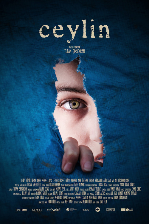 Ceylin poster 2