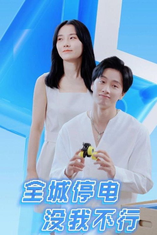 全城停电没我不行电影海报
