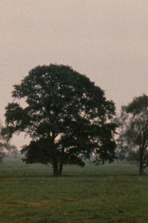 Leute mit Landschaft's poster