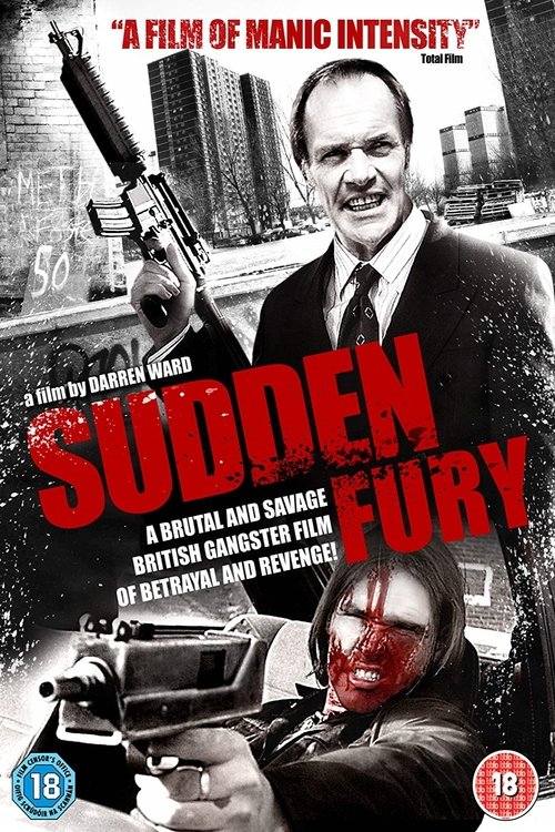 Sudden Fury 1997