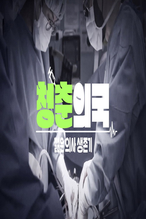 청춘의국电影海报