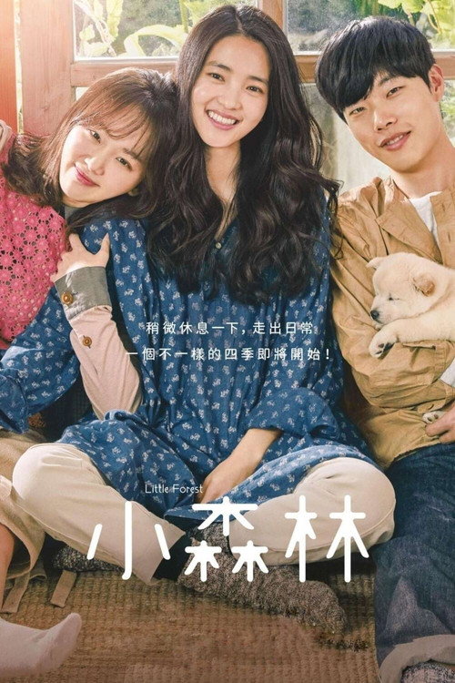 小森林电影海报