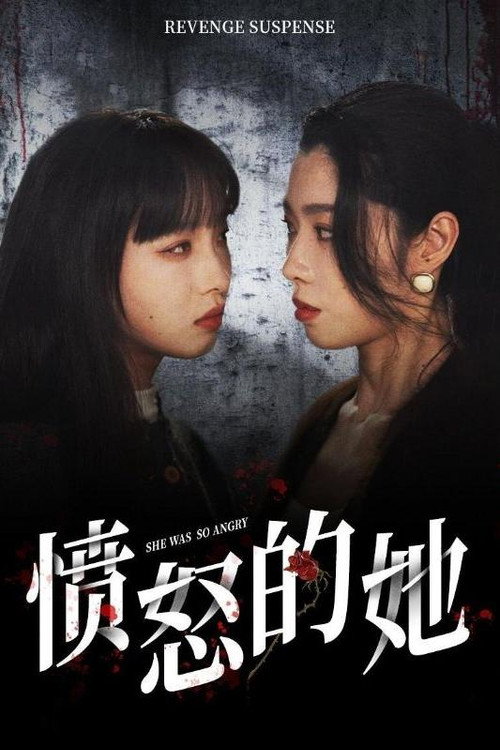 愤怒的她电影海报