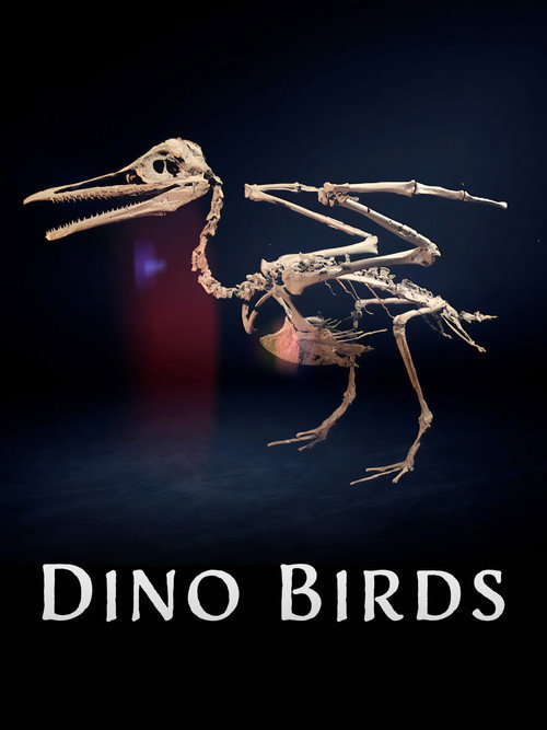 Dino Birds Poster