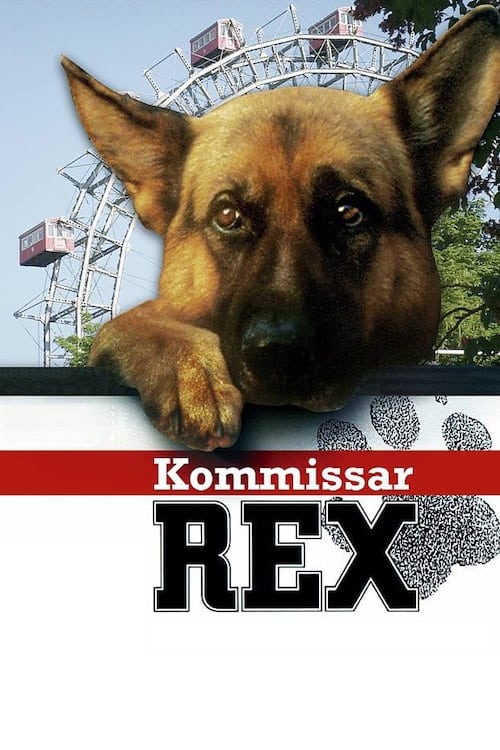 Rex, un policía diferente