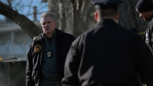 Manifest - Nispi Kerteriz