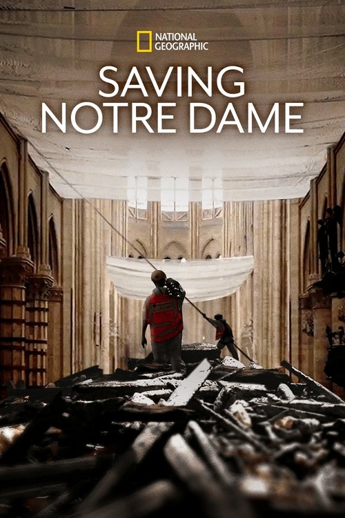 Saving+Notre+Dame