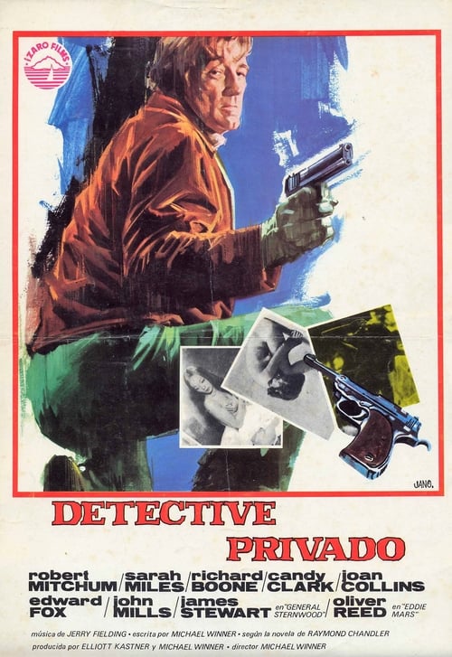 Detective privado