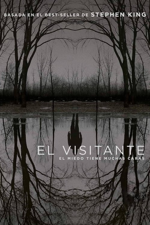 Poster of El visitante