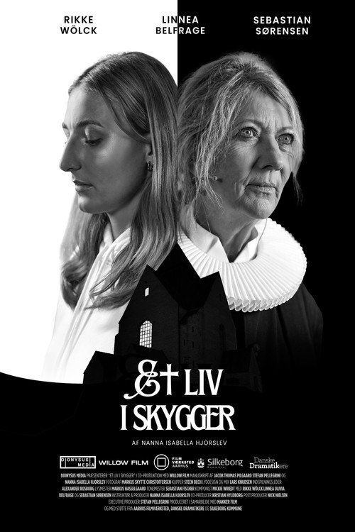 A Life In The Shadows poster 4