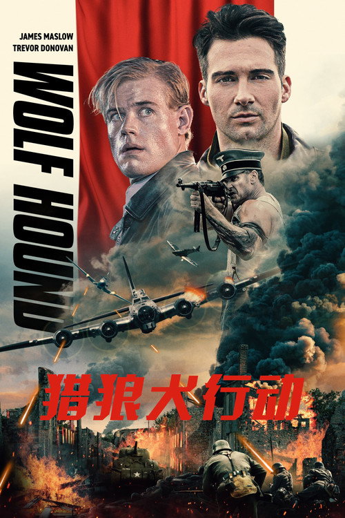 猎狼犬行动电影海报