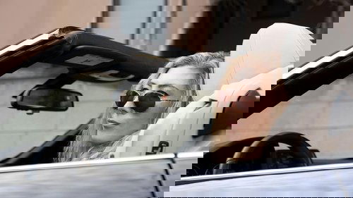 Animal Kingdom - 2. Bölüm