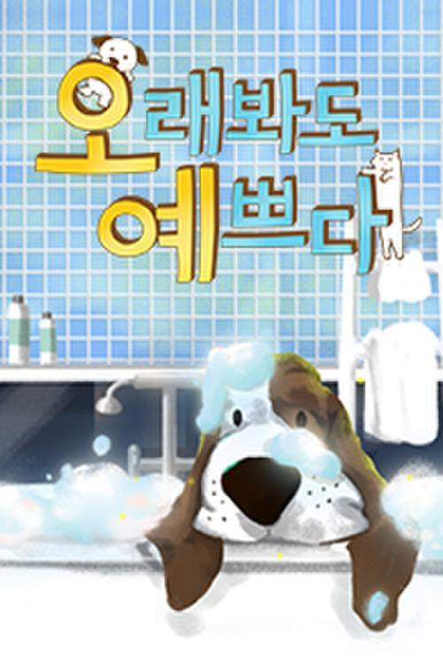 오래봐도 예쁘다电影海报