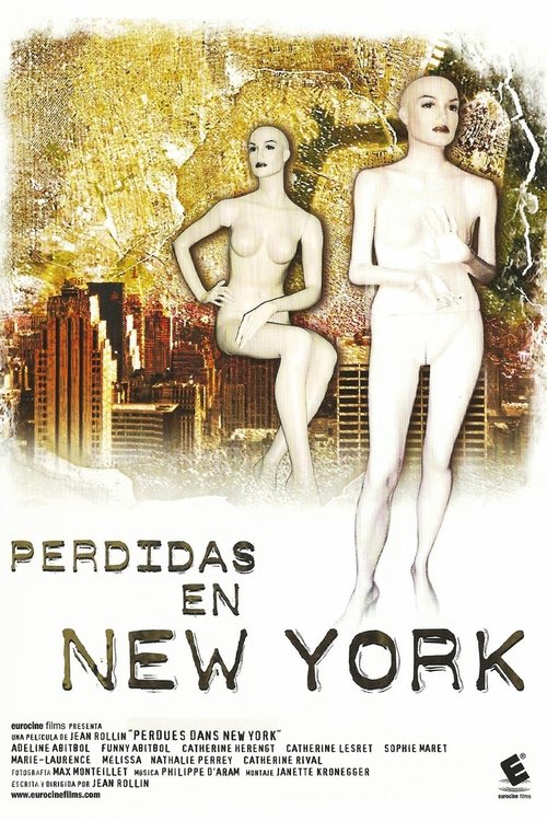 Background poster of Perdues dans New York blurred