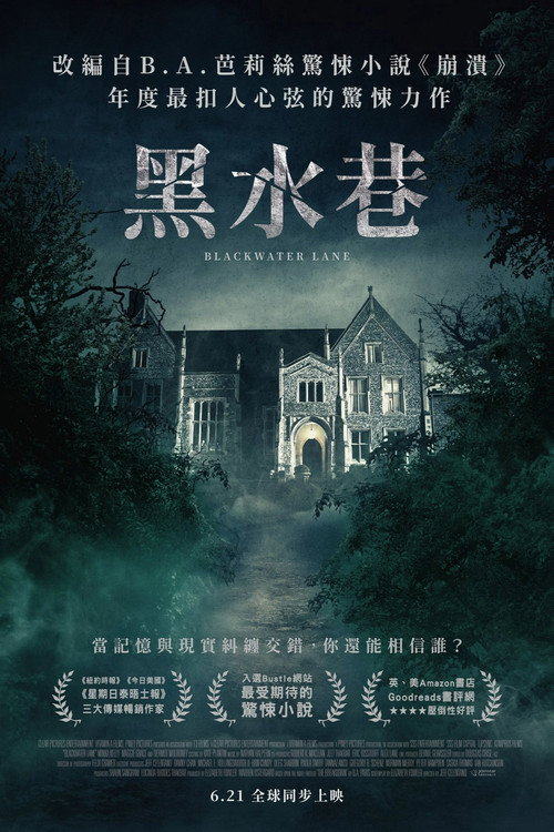 黑水巷电影海报