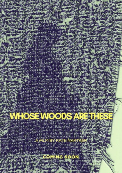 Whose Woods Are These