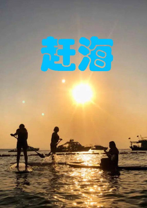 赶海电影海报