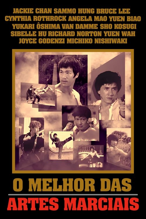 O Melhor das Artes Marciais