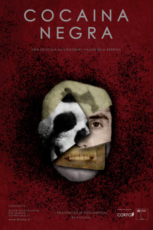 Black Cocaine Poster