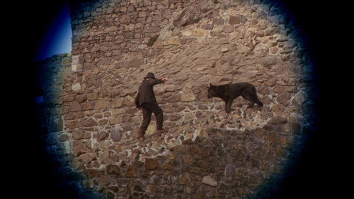 image36