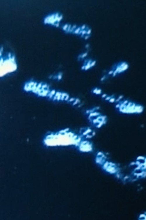 Formosa poster