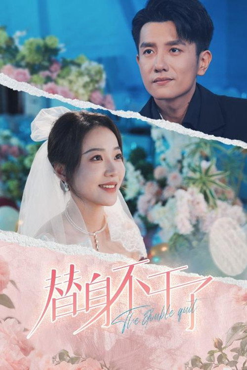 替身不干了海报