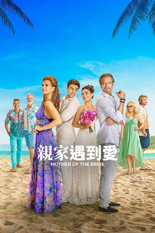 冤家变亲家电影海报