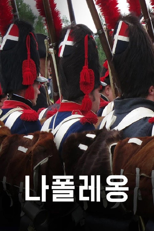 나폴레옹电影海报